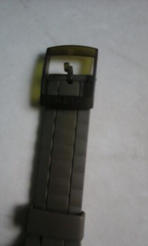 swatch whalebone