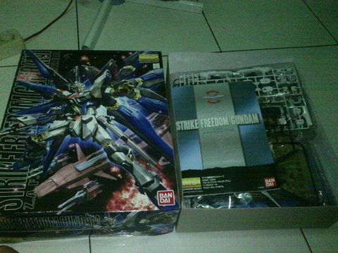 Gundam bandai mg 00 raiser n strike freedom murah