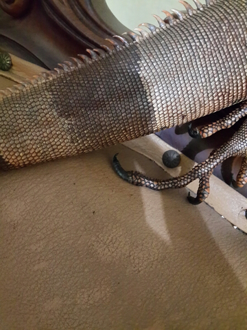 WTS RED IGGY / IGUANA 1M++ EDISI BU GAN!! GERCEP!