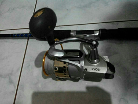 reel golden fish 8000