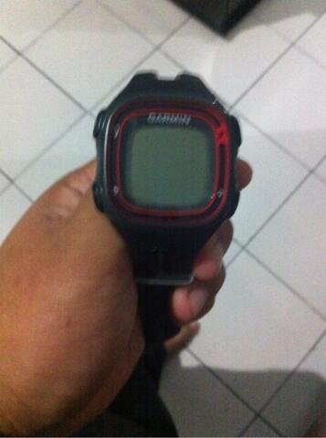 WTS garmin Fr10
