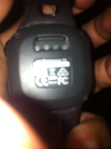 WTS garmin Fr10