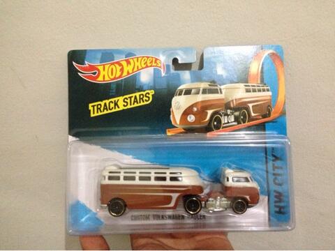 Custom Volkswagen Hauler