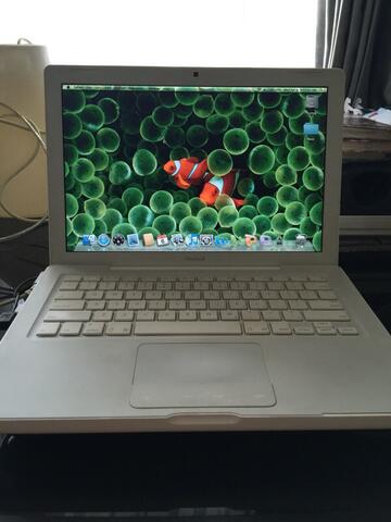 Apple MacBook Unibody A1181 13Inch (White-09)