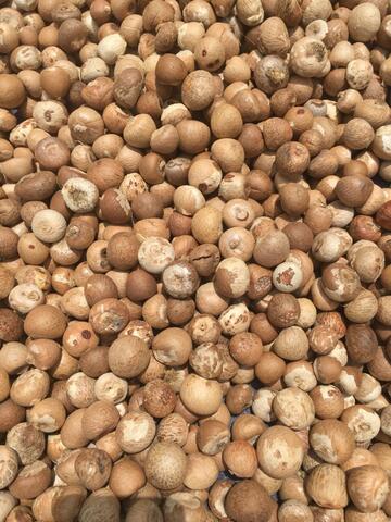 Jual biji pinang bulat atau belah