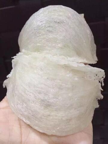 Sarang burung walet