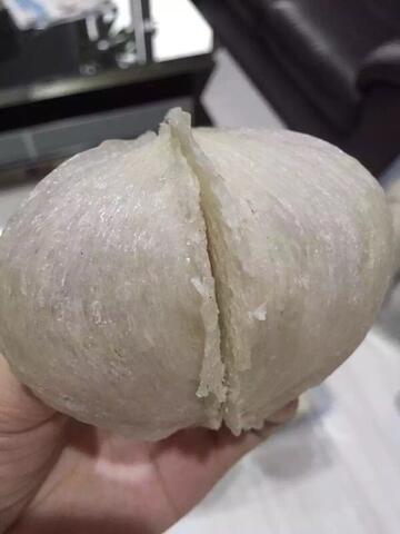 Sarang burung walet
