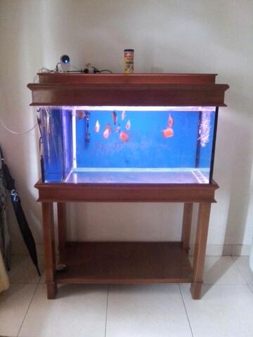 Terjual Aquarium 1 Set Meja Tutup Kayu 100x50x50 Kaskus