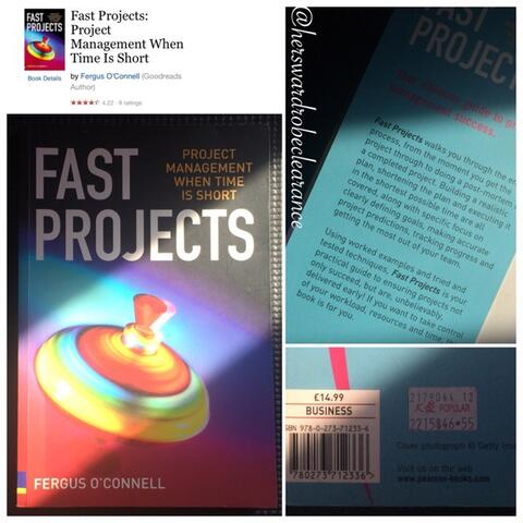 FAST PROJECT, english sub book on project management