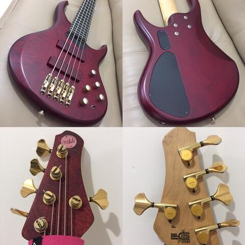 lakland bartolini