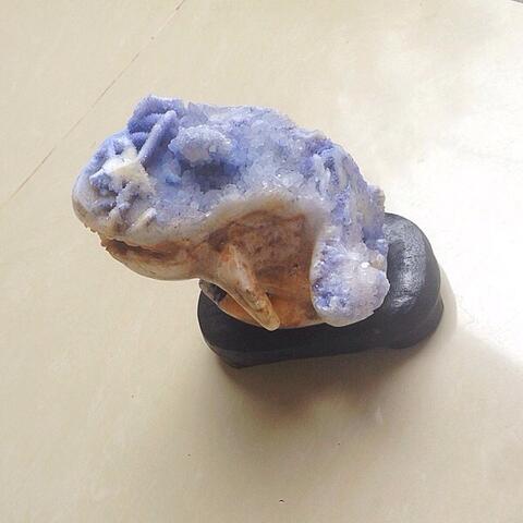 Kristal Laut Shark Shape