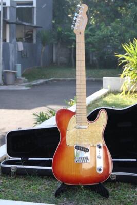 telecaster olx