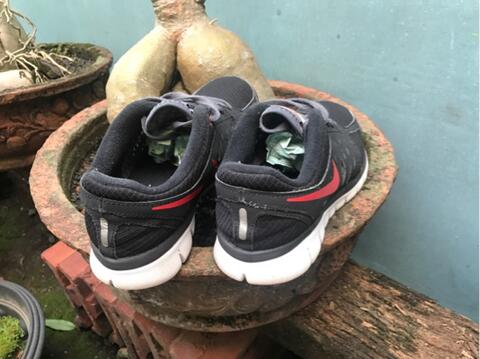 nike flex 2013 run original