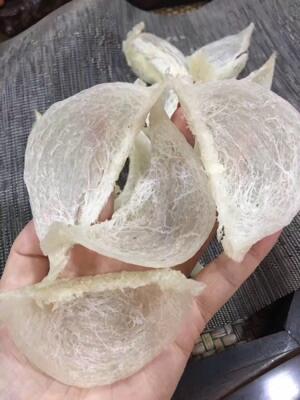 Sarang burung walet