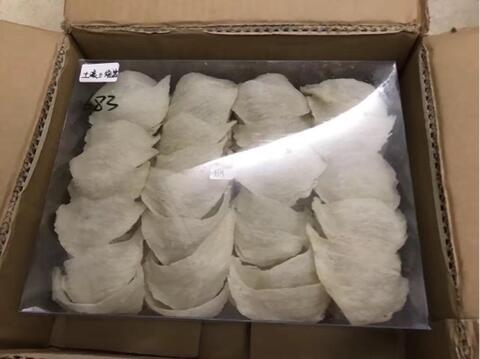 Jasa kirim sarang burung walet export ke Hongkong dan negara lain nya