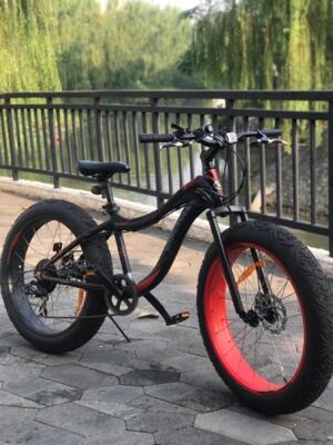 wimcycle fat bike