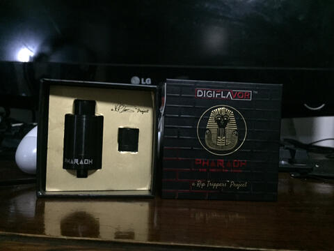 WTS RDA PHARAOH AUTHENTIC MEDAN