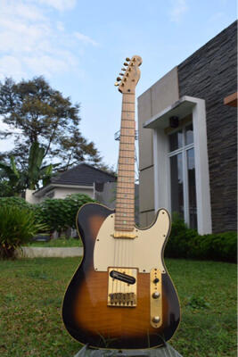 richie telecaster