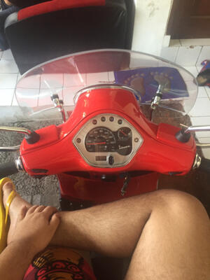 Flyscreen Vespa GTS ORI 100%