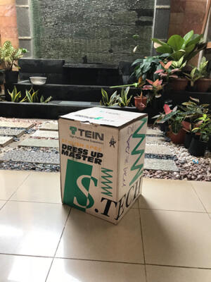 Teins Lowering Spring