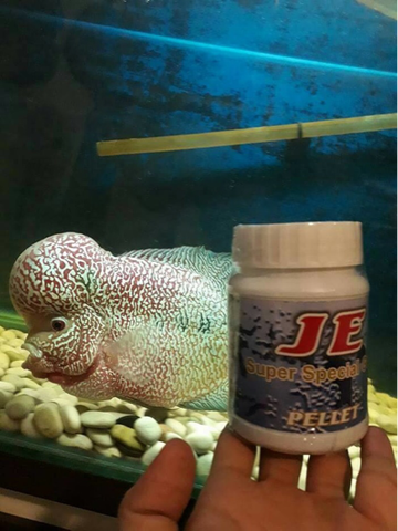 Pellet Louhan Import & Lokal High Class