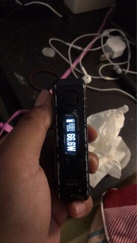 Therion DNA 166 Murmer