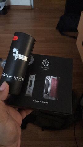 Therion DNA 166 Murmer
