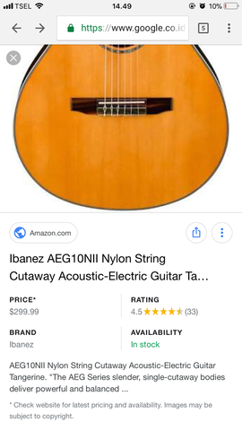 ibanez aeg10ne price