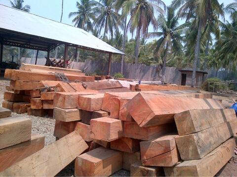 Terjual SUPPLIER KAYU  NYATOH MERANTI  MALAPOGA SPESIALIS 