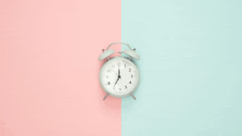 Deltras Sidoarjo: Kebanggaan Kota yang Tak Pernah Padam