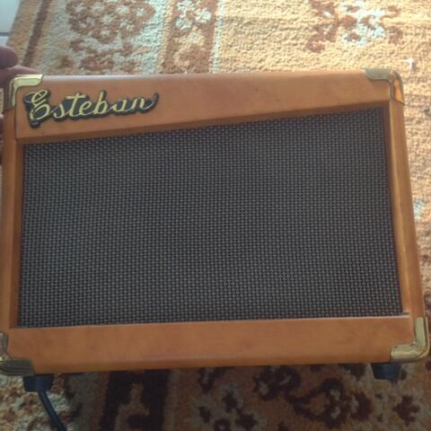 esteban g10 guitar amp