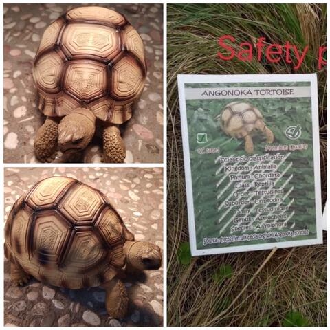 miniatur replika ynipora tortoise