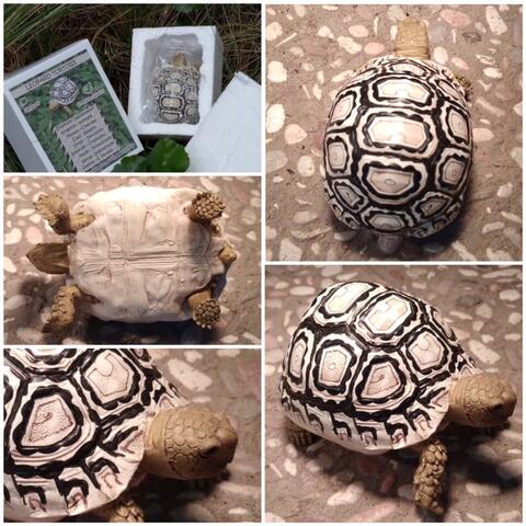 miniatur replika pardalis tortoise