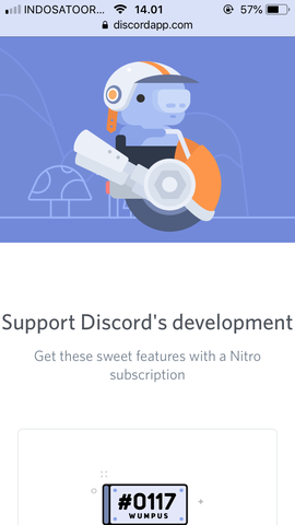 discord nitro / discordapp