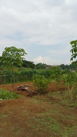 DI JUAL. Tanah 28.000m2 di Bogor