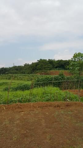 DI JUAL. Tanah 28.000m2 di Bogor