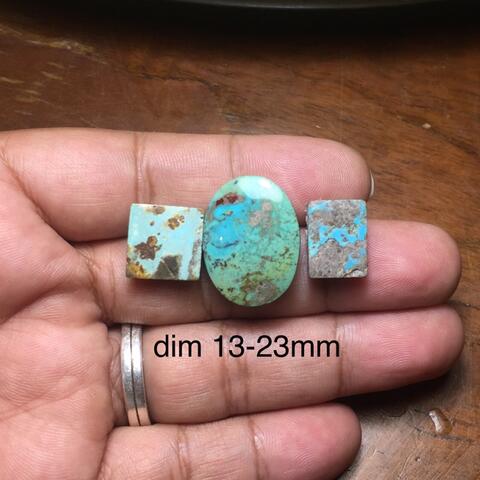 pirus persia borongan murmer