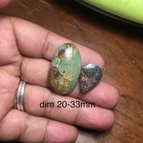 pirus persia borongan murmer