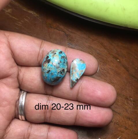 pirus persia borongan murmer