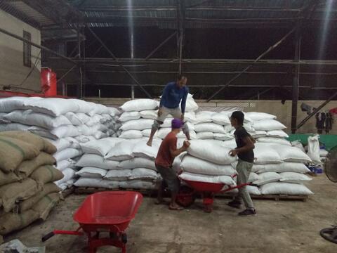 Jual Lada putih / Sell White pepper