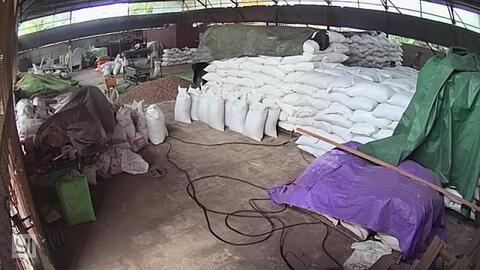 Jual Lada putih / Sell White pepper