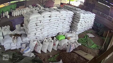 Jual Lada putih / Sell White pepper