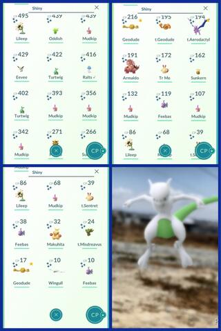 Akun Pokemon Go Mystic