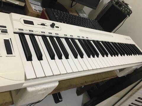 Samson carbon 61 keys