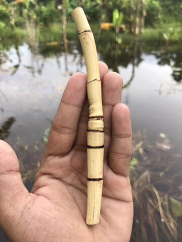 Rotan Temuruas Atau Oleng Atau Pethuk