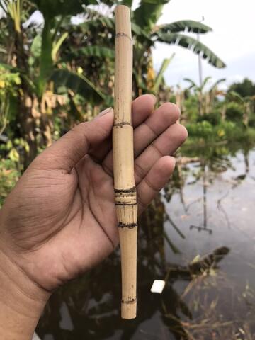 Rotan Temuruas Atau Oleng Atau Pethuk