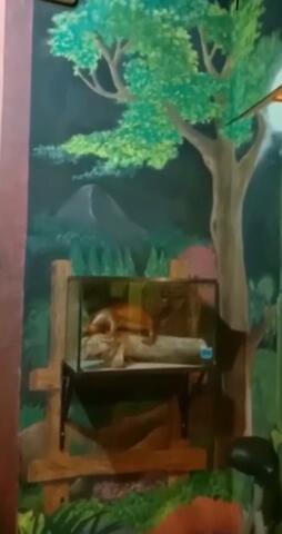 Pansalon Jasa Lukisan Mural, Realistik, Grafis, Washing, Dll.