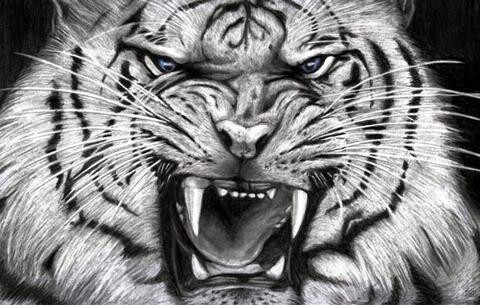 Jual Khodam Harimau Putih Jagad Patih