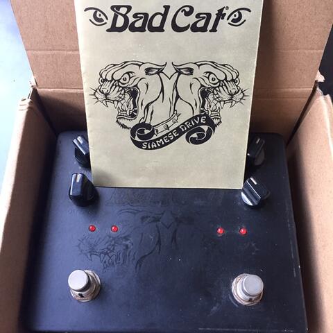Bad Cat Siamesse Overdrive not boss mxr joyo mooer nux strymon behringer jhs suhr