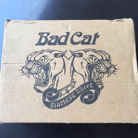 Bad Cat Siamesse Overdrive not boss mxr joyo mooer nux strymon behringer jhs suhr